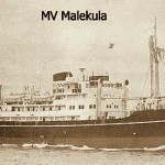 MV-Malekula