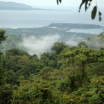 Wewak from the Radio Tower