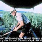 Bob pushing through the reeds